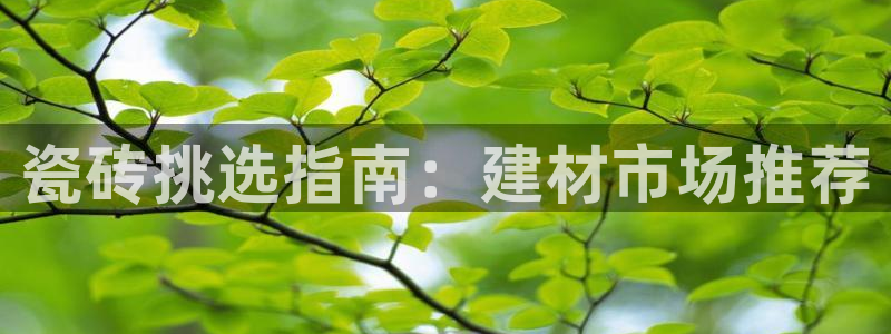 杏鑫平台野马联盟怎么样