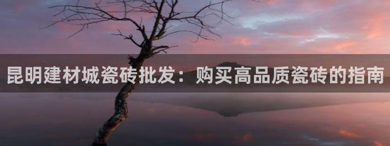 杏鑫官方平台怎么样啊
