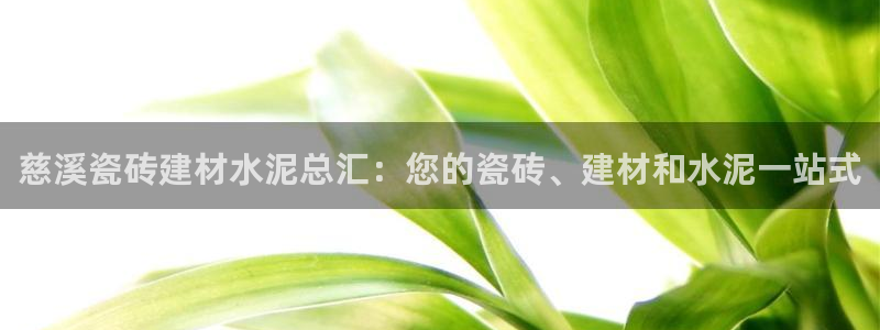 杏鑫娱乐多少年了