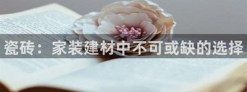 杏鑫注册登录代理