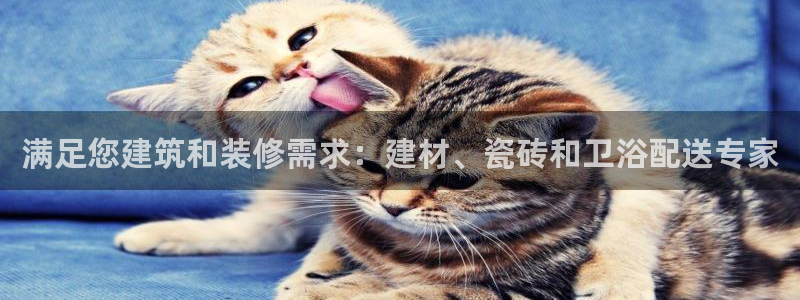 杏鑫平台招商怎么样
