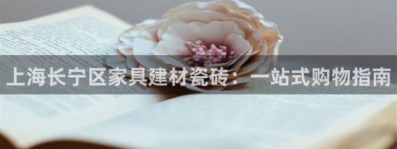 杏鑫平台代理注册