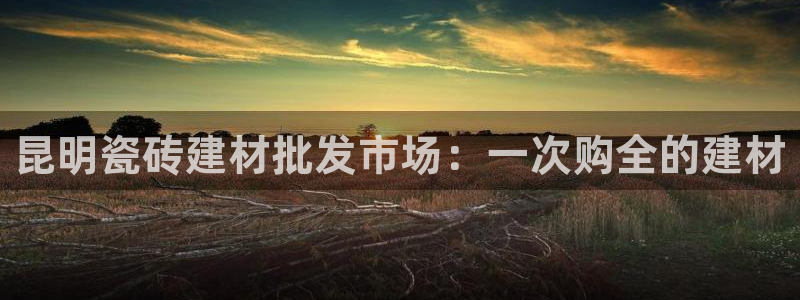 杏鑫平台代理怎么做