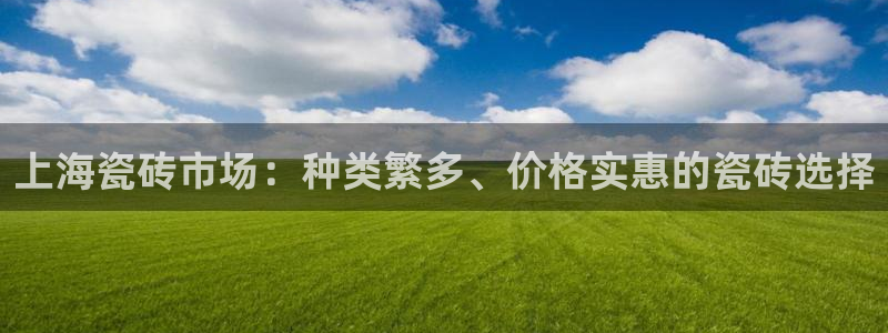 杏鑫平台野马联盟怎么样
