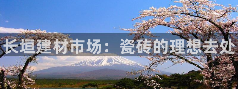 杏鑫平台登陆