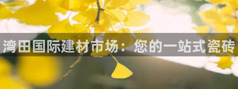 杏鑫娱乐平台测速怎么样