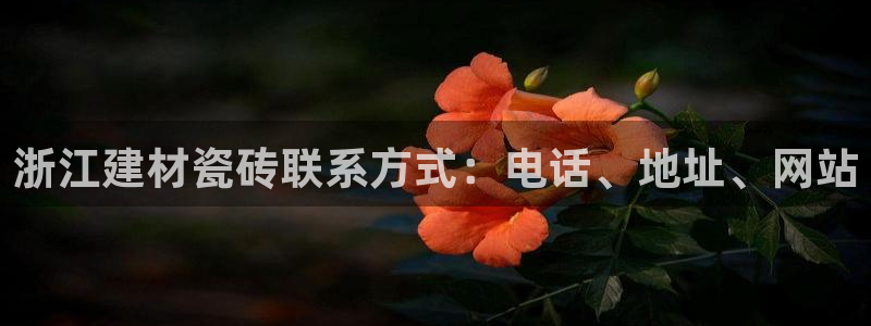 杏鑫官网最新信息新闻报道
