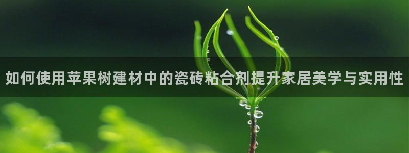 杏鑫平台念7O777