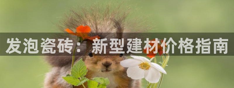 杏鑫平台测速怎么样
