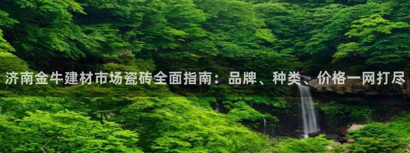 杏鑫平台怎么样