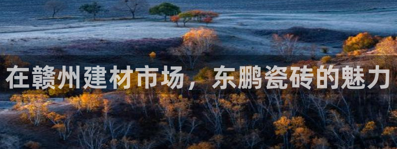 杏鑫平台直属哪个公司