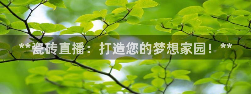 杏鑫注册平台官方网站是什么