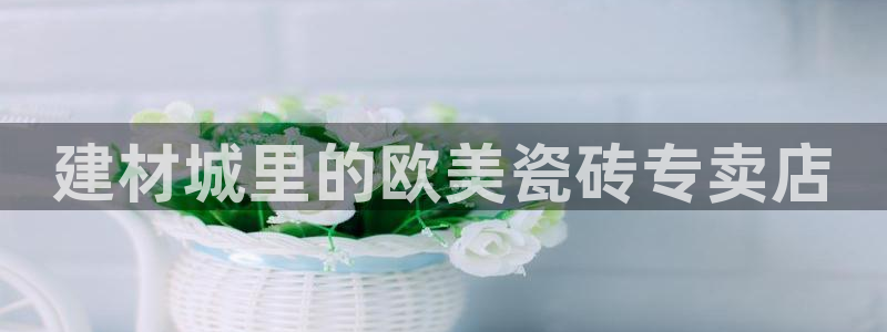杏鑫平台代理注册流程图