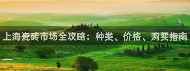 杏鑫平台代理