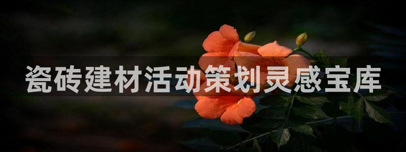 杏鑫官方平台怎么样啊知乎