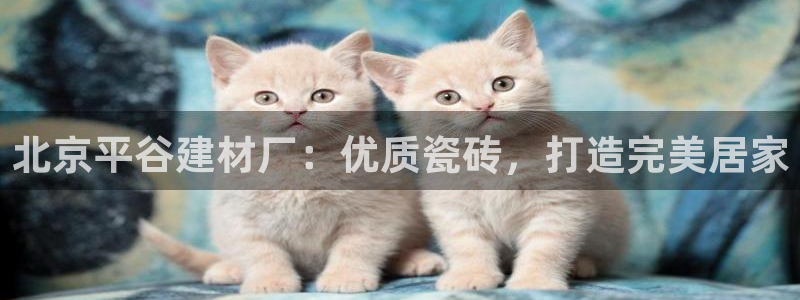 杏鑫娱乐平台登录