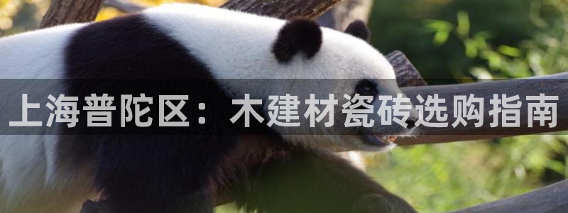 杏鑫官方平台怎么样啊