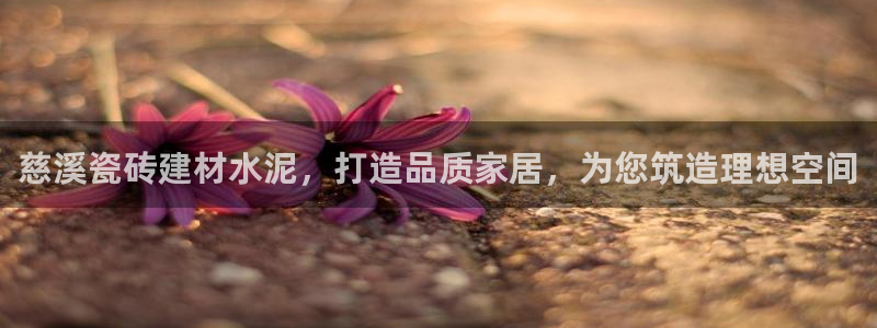杏鑫手机客户端怎么下载