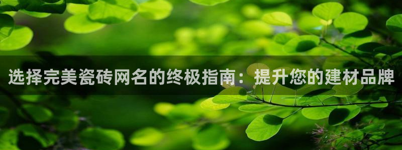杏鑫平台是黑平台吗是真的吗