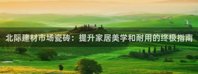 杏鑫平台注册网址查询