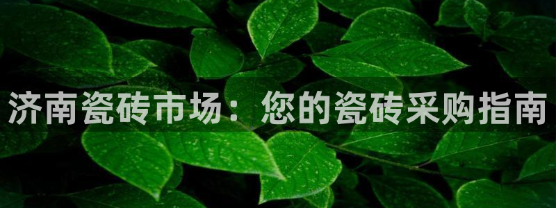 杏鑫平台代理