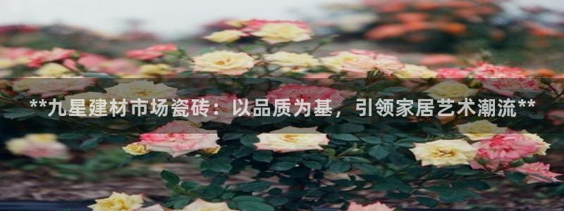 杏鑫平台代理注册流程图