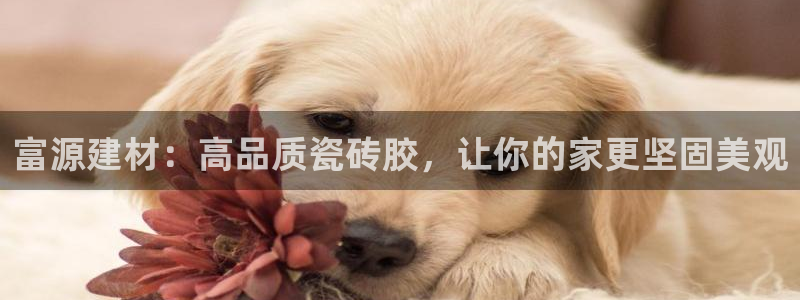 杏鑫注册登录代理