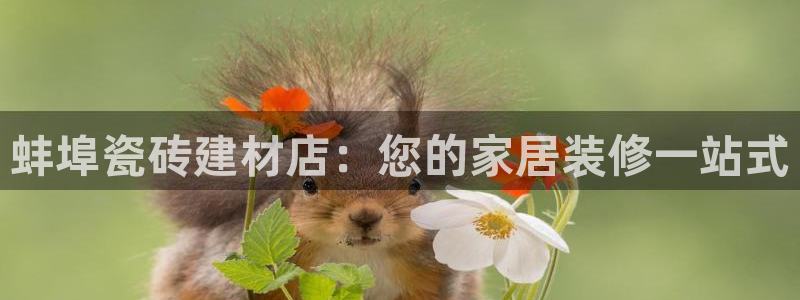 杏鑫平台怎么样黑钱吗是真的吗还是假的