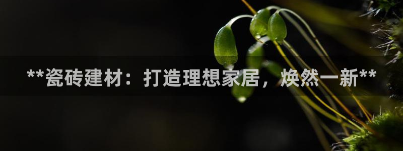 杏鑫平台登录地址查询