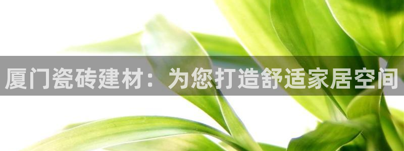 杏鑫平台招商电话