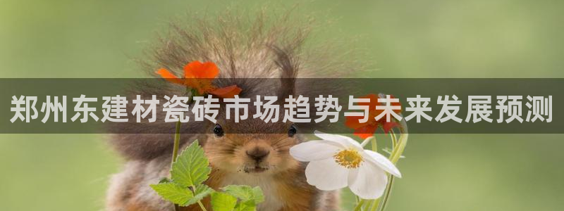 杏鑫娱乐多少年了