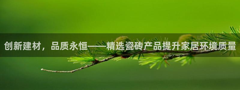 杏鑫主管