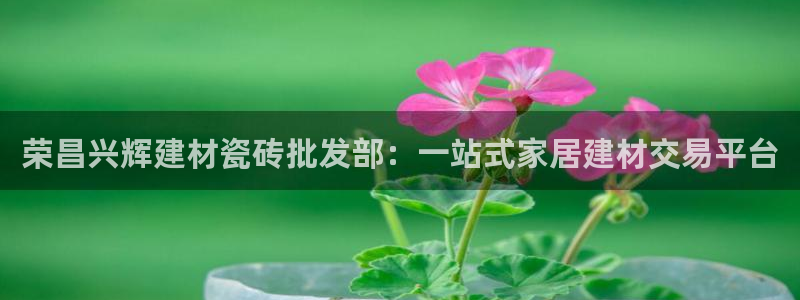 杏鑫平台直属哪个公司