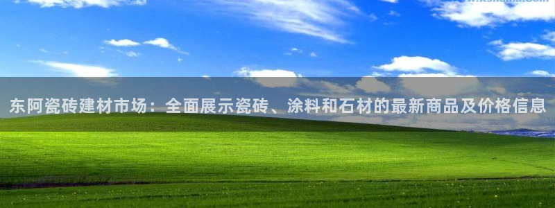 杏鑫3主管