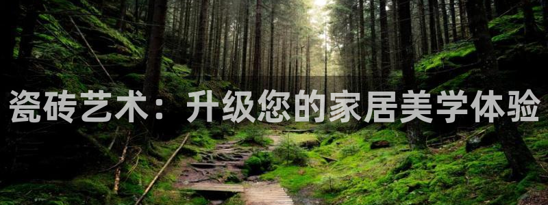 杏鑫平台平台