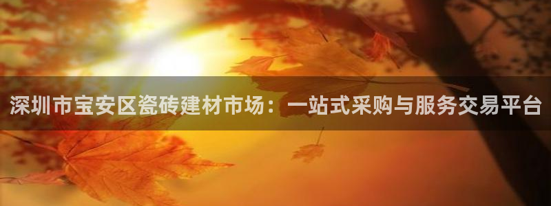 杏鑫平台代理注册流程图