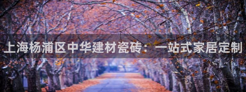 杏鑫平台招商电话