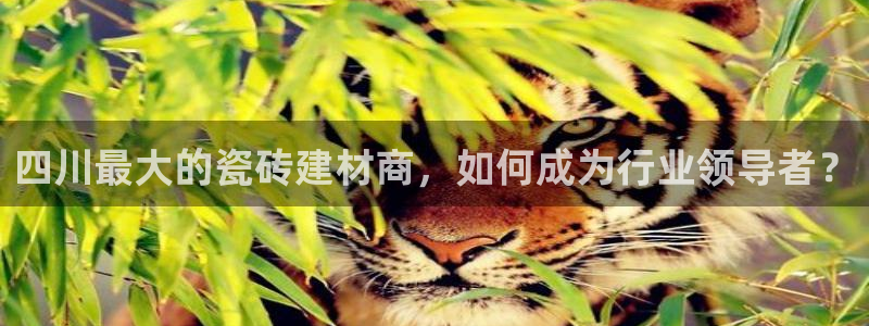杏鑫平台招商电话号码是多少