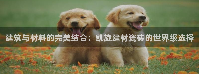 杏鑫注册登录网址是什么