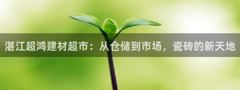 杏鑫平台代理注册