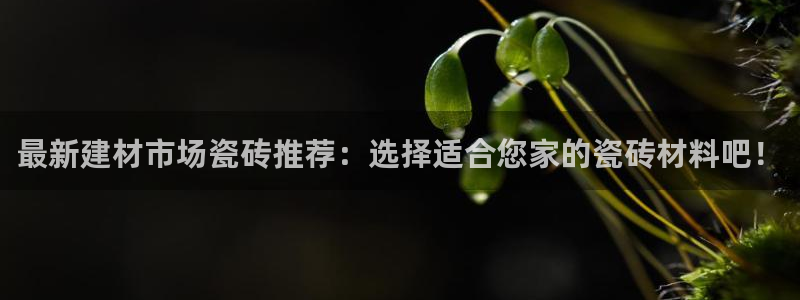 杏鑫平台招商怎么样可靠吗