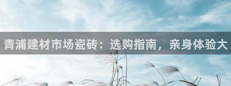 杏鑫娱乐怎么样