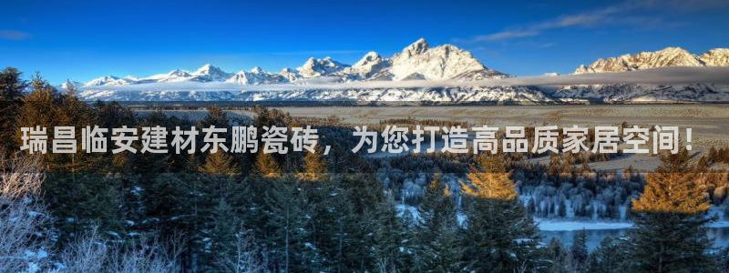 杏鑫平台代理怎么样啊