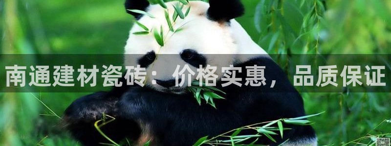 杏鑫官方平台怎么样