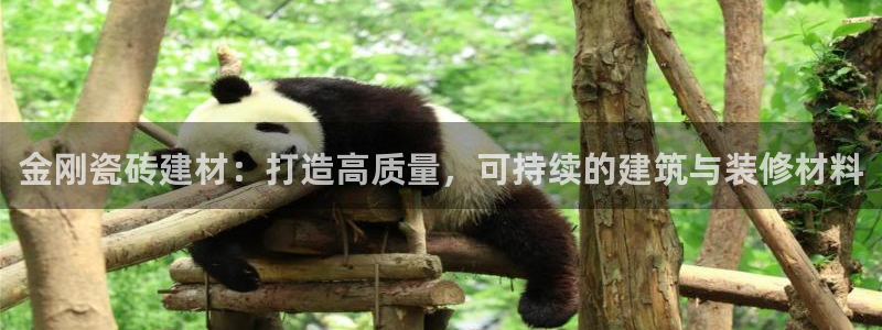 杏鑫官网注册账号怎么注册不了