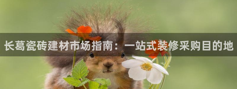 杏鑫平台代理注册多少钱啊