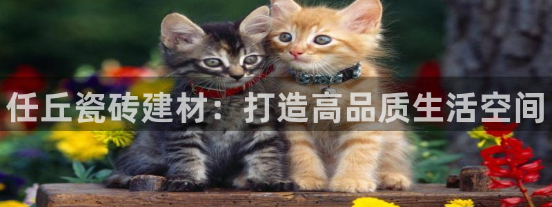 杏鑫娱乐平台测速