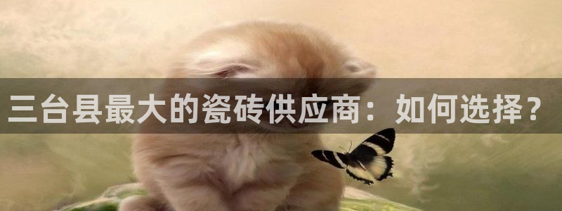 杏鑫平台正规吗可信吗