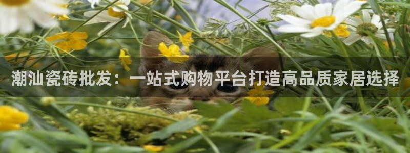 杏鑫娱乐多少年了