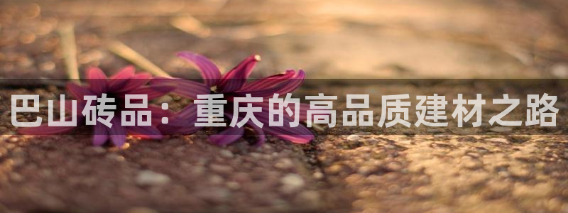 杏鑫官方平台怎么样啊